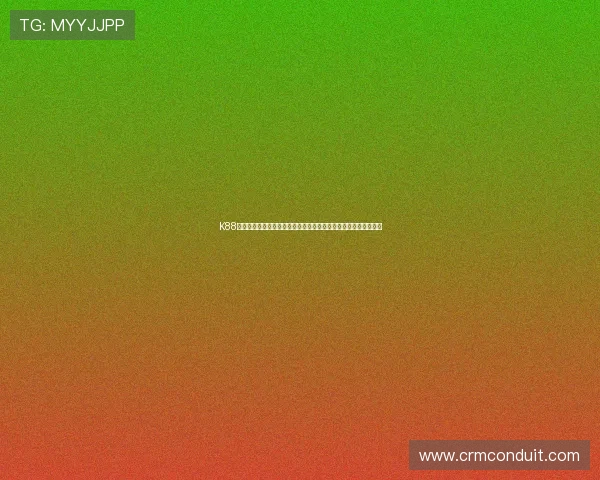 K88娱乐平台安全保障措施详解，保障玩家账号与资金安全的实用指南